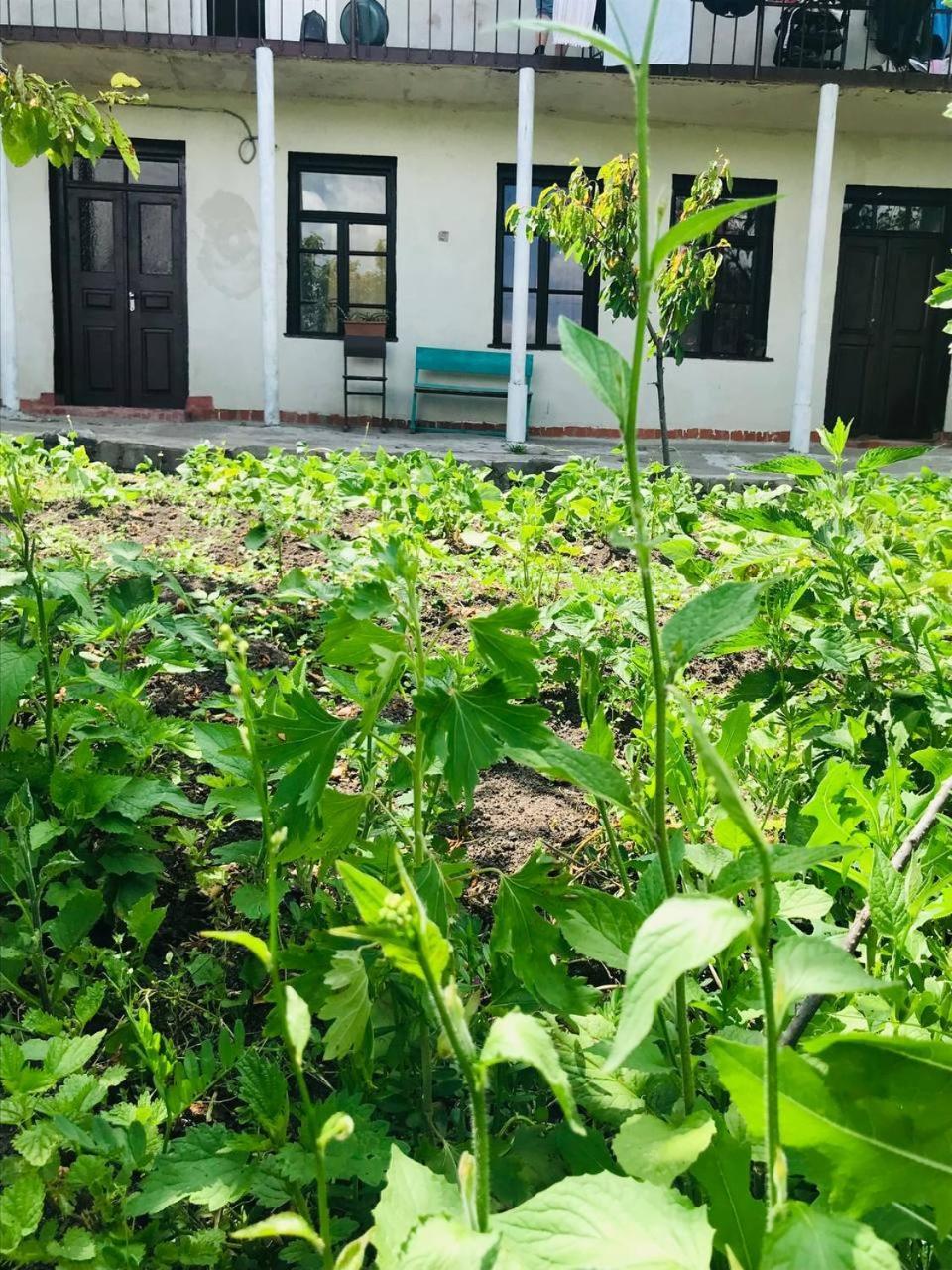 Dzoragyugh B&B Экстерьер фото